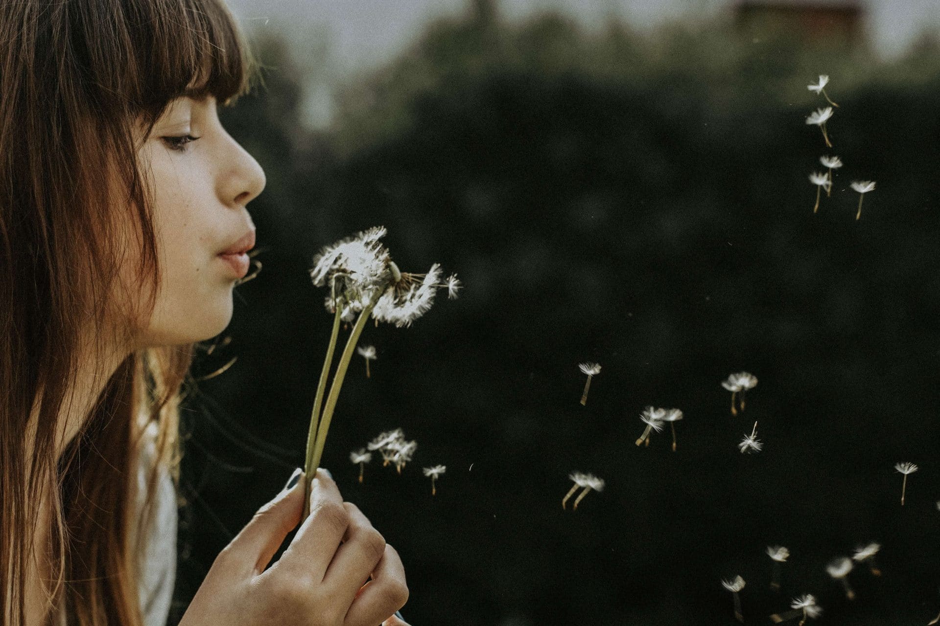 gelukkig zijn, vrouw blaast op bloem